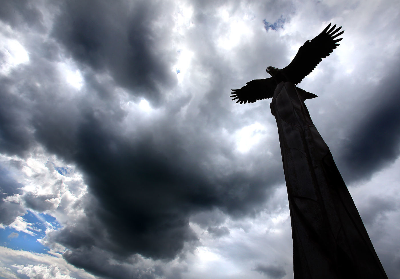 Darkened wings